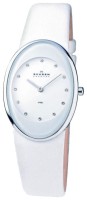 Часы Часы Skagen 648SSLWW в Екатеринбурге в Екатеринбурге