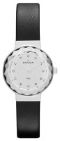 Часы Часы Skagen SKW2005 в Екатеринбурге в Екатеринбурге