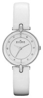 Часы Часы Skagen SKW2012 в Екатеринбурге в Екатеринбурге