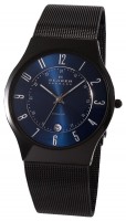Часы Часы Skagen T233XLTMN в Екатеринбурге в Екатеринбурге