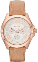 Часы Часы Fossil AM4532 в Екатеринбурге в Екатеринбурге