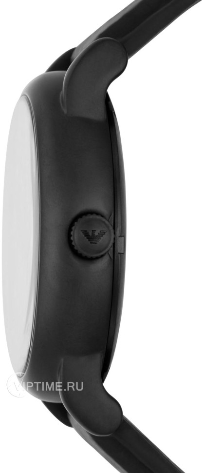 Часы Часы EMPORIO ARMANI AR60032 в Екатеринбурге в Екатеринбурге