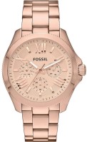 Часы Часы Fossil AM4511 в Екатеринбурге в Екатеринбурге