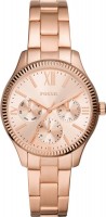 Часы Часы Fossil BQ3691 в Екатеринбурге в Екатеринбурге