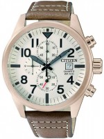 Часы Часы Citizen AN3623-02A в Екатеринбурге в Екатеринбурге
