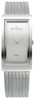 Часы Часы Skagen 359USSS в Екатеринбурге в Екатеринбурге
