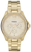 Часы Часы Fossil AM4482 в Екатеринбурге в Екатеринбурге