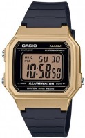 Часы Часы Casio W-217HM-9AVEF в Екатеринбурге в Екатеринбурге